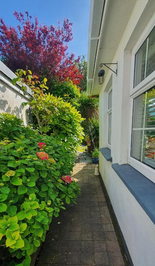 124 ,Castlelawn Heights, Headford Road Galway Homestay Экстерьер фото